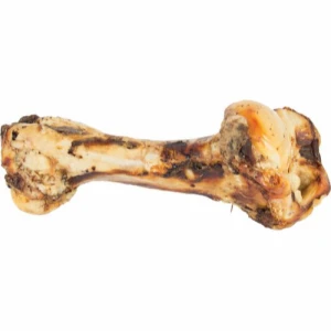 Jurassic bone, torkat