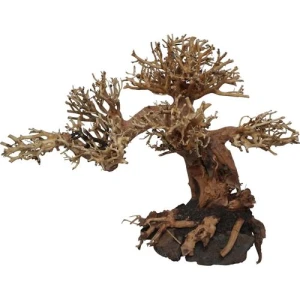 Peaceful Bonsai, 23x12x17 cm