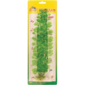 Cardmine plastväxt 30 cm