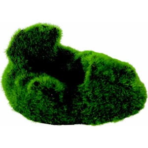 Zolux Kipouss Pebble Stone With Live Plant Seeds