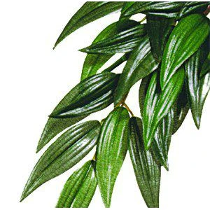 Rucus S Plastväxt Exoterra